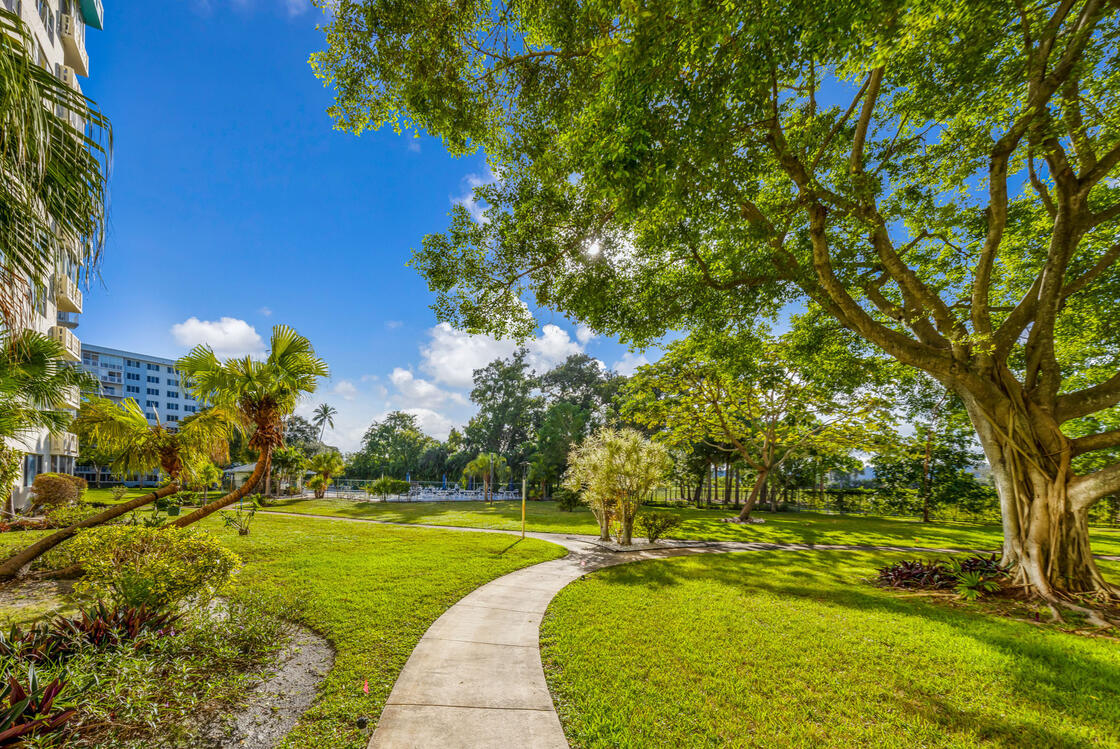 Walking Path w Orchids
